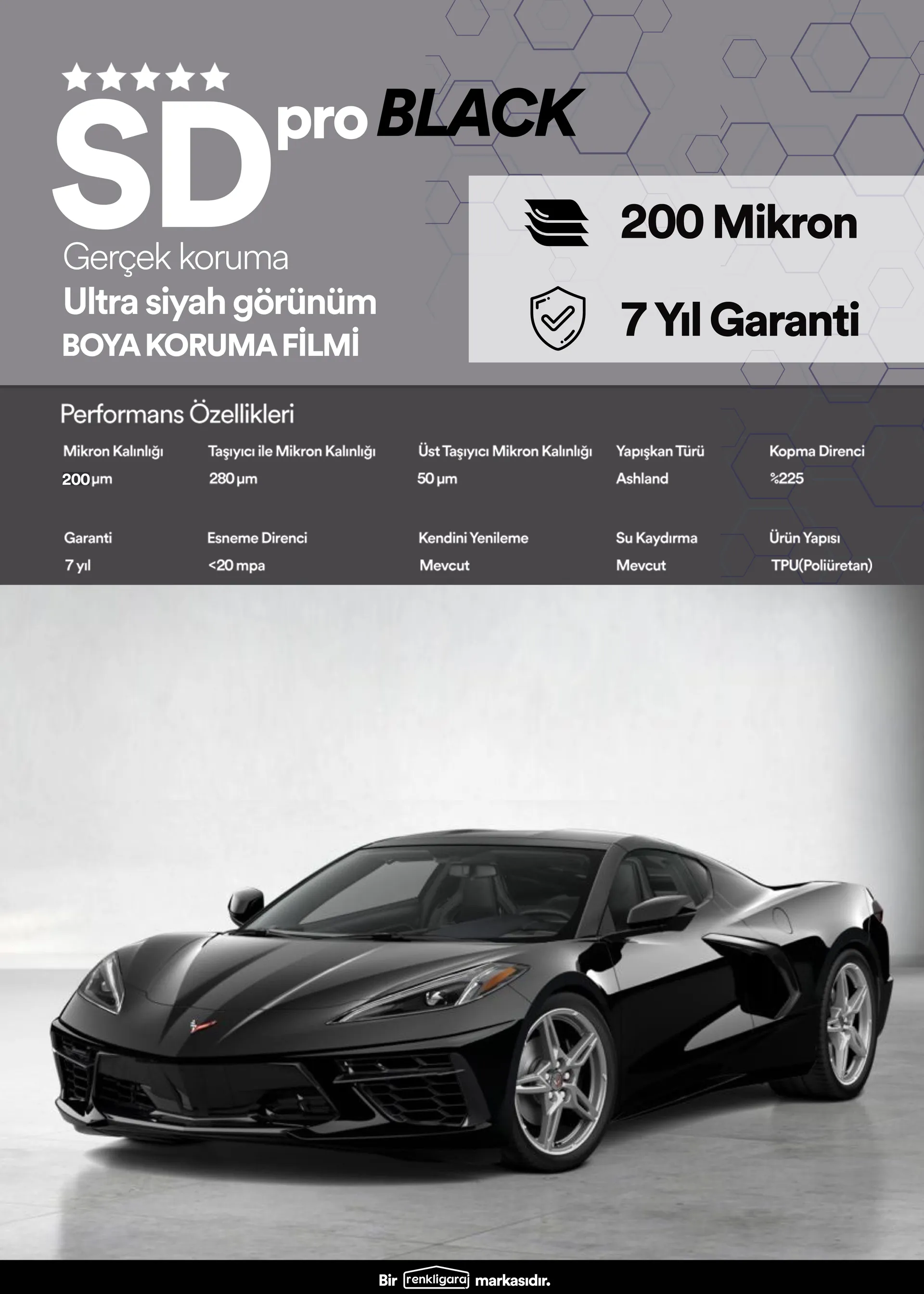 Motor Temizliği